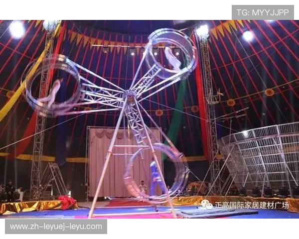 足球杂技节目在体育嘉年华中如何融入比赛元素